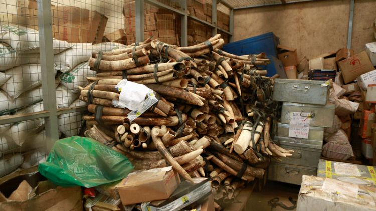 Uganda seizes ivory, pangolin scales worth an estimated $8 million