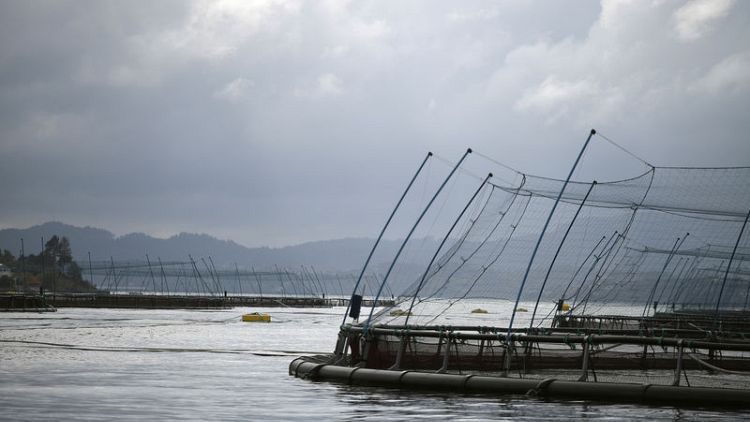 Norway wants to change fish farms regulations