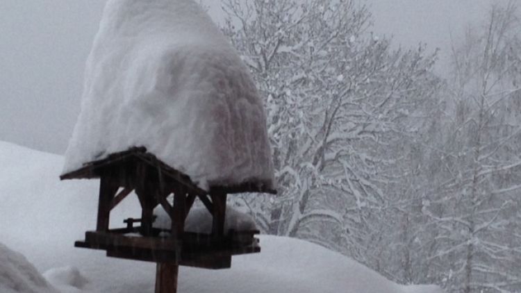 Sulle Dolomiti fino ad 85 cm neve fresca