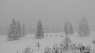 Maltempo, cancellata discesa Garmisch Maltempo, cancellata discesa Garmisch