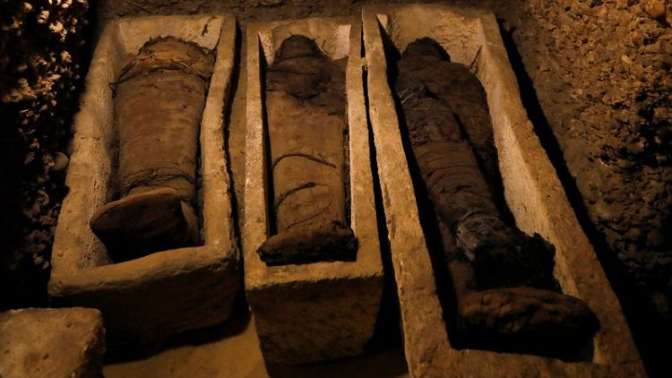 الكشف عن مقبرة تضم 50 مومياء بمنطقة آثار تونا الجبل في مصر