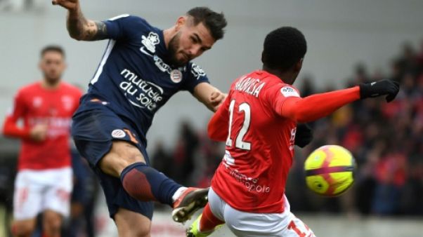 Montpellier arrache le nul aux "Crocodiles" Montpellier arrache le nul aux "Crocodiles"