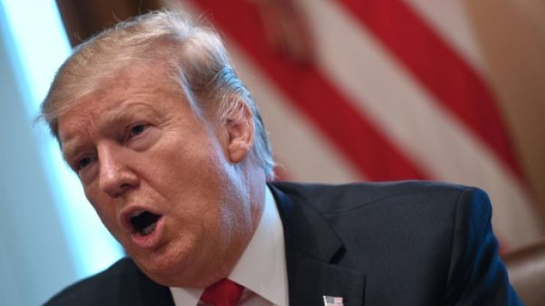 Le président des Etats-Unis Donald Trump, le 1er février 2019 à Washington. Le président des Etats-Unis Donald Trump, le 1er février 2019 à Washington.