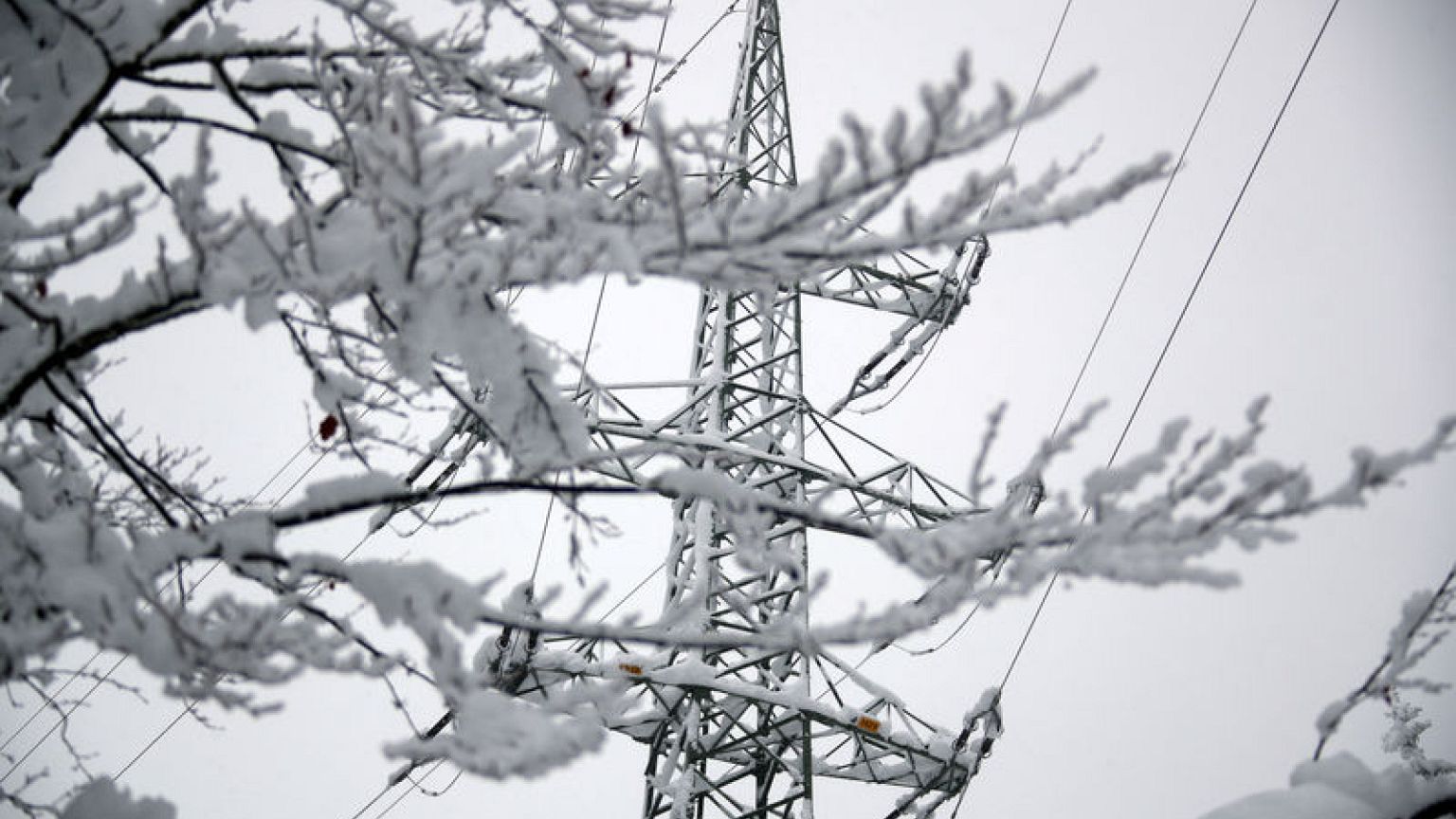 German grid firms see extra costs to meet renewable power target