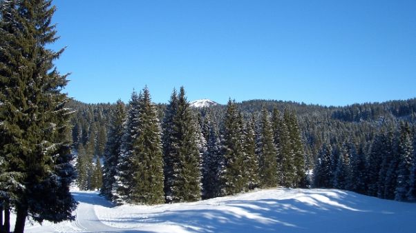 Coniugi e figlia trovati morti ad Asiago Coniugi e figlia trovati morti ad Asiago