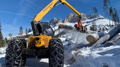 Neve frena lavoro nei boschi martoriati Neve frena lavoro nei boschi martoriati