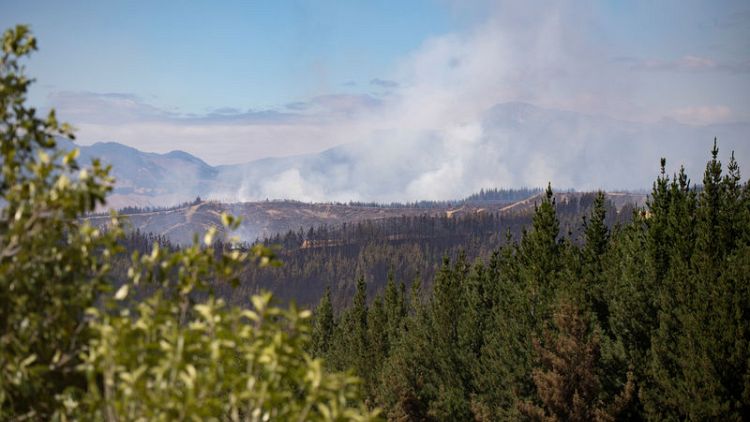 عدم ظهور أي دلائل على تراجع حرائق الغابات في نيوزيلندا