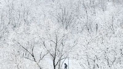 Russie : chutes de neige record à Moscou