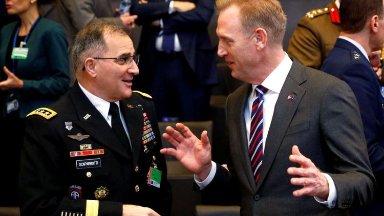 U.S. won't pull out of Afghanistan alone - acting Pentagon chief