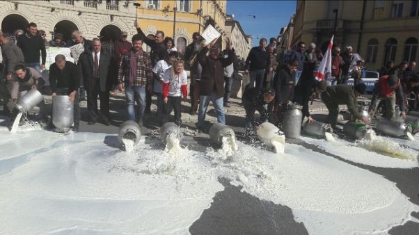 Latte, nuova protesta a Grosseto Latte, nuova protesta a Grosseto