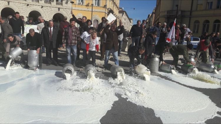 Latte, nuova protesta a Grosseto