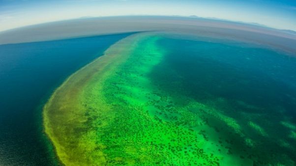 Inondations en Australie: les sédiments menacent la Grande barrière Inondations en Australie: les sédiments menacent la Grande barrière