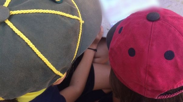 Capi scout, non umano gente in mare Capi scout, non umano gente in mare