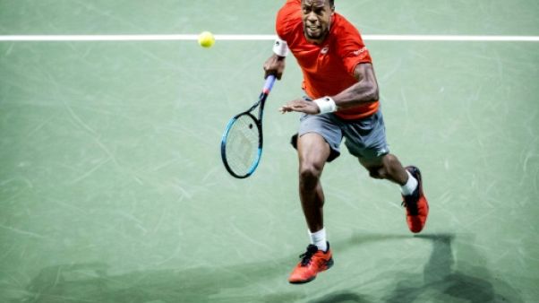 Tennis: Monfils prend sa revanche et file en finale à Rotterdam Tennis: Monfils prend sa revanche et file en finale à Rotterdam