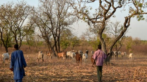 Parc de la Comoé en Côte d'Ivoire: l'écologie pour réconcilier paysans et éleveurs Parc de la Comoé en Côte d'Ivoire: l'écologie pour réconcilier paysans et éleveurs