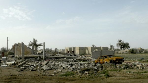 Syrie: à Baghouz, les palmiers dépérissent à l'image du "califat" jihadiste Syrie: à Baghouz, les palmiers dépérissent à l'image du "califat" jihadiste