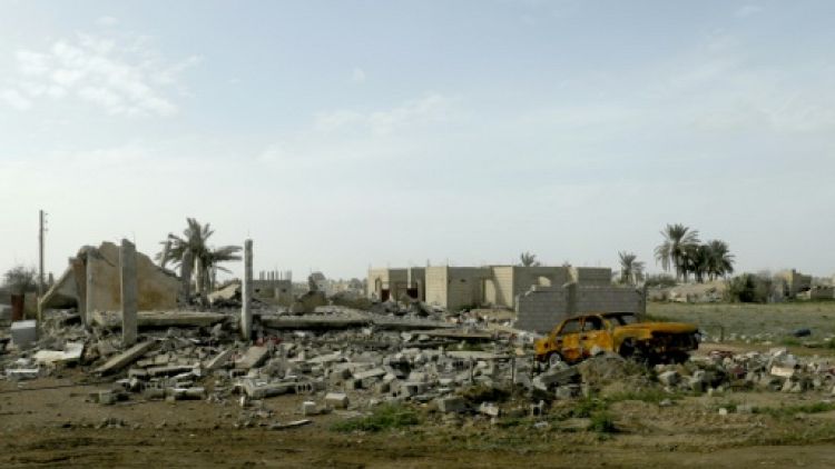 Syrie: à Baghouz, les palmiers dépérissent à l'image du "califat" jihadiste