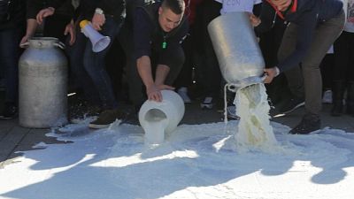 Latte: protesta allevatori nell'ennese Latte: protesta allevatori nell'ennese