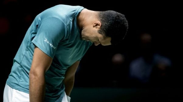 Jo-Wilfried Tsonga lors du tournoi de Rotterdam, le 15 février 2019 Jo-Wilfried Tsonga lors du tournoi de Rotterdam, le 15 février 2019