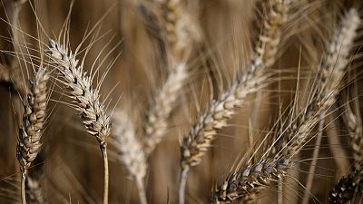 U.S. officials press EU to address agriculture in trade talks