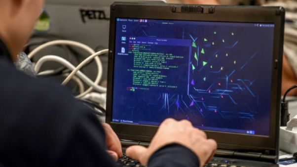 Internet et ses noms de domaine sous le coup d'une attaque inédite Internet et ses noms de domaine sous le coup d'une attaque inédite
