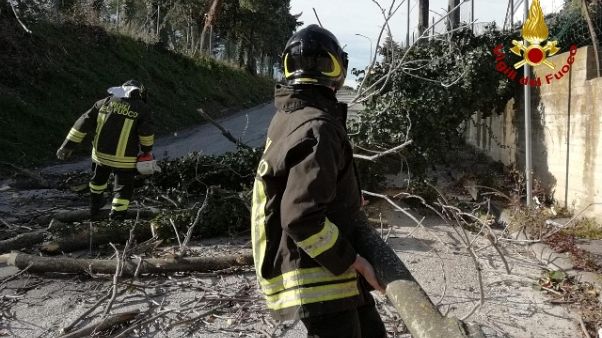 Vento a 62 km orari nelle Marche Vento a 62 km orari nelle Marche