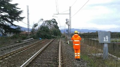 Rogo sui binari, treni in ritardo 13 ore
