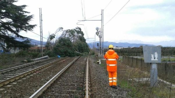 Rogo sui binari, treni in ritardo 13 ore Rogo sui binari, treni in ritardo 13 ore