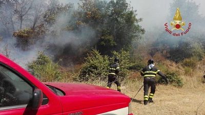 Incendi: in fumo 50 ettari in Lucchesia Incendi: in fumo 50 ettari in Lucchesia