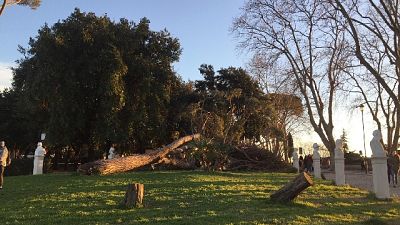 Maltempo: 200 interventi pompieri a Roma