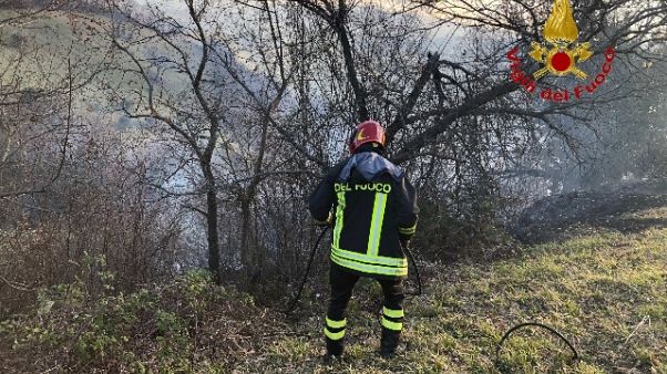 Fiamme in canneto Roma, trovato cadavere Fiamme in canneto Roma, trovato cadavere