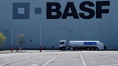 BASF puts pigments business up for sale
