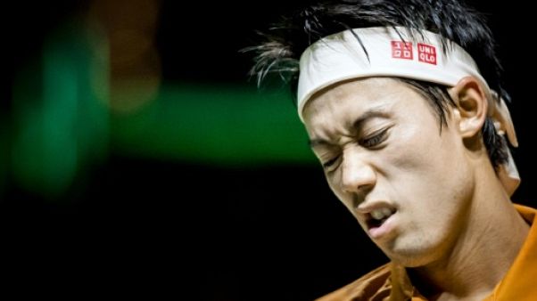Le Japonais Kei Nishikori lors du tournoi de Rotterdam, le 16 février 2019 Le Japonais Kei Nishikori lors du tournoi de Rotterdam, le 16 février 2019