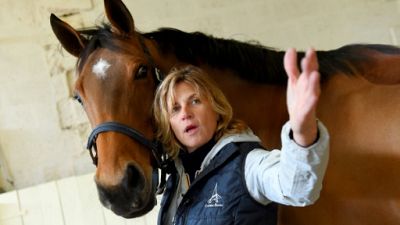 Equitation: à Château Bacon, la vente de chevaux de sport bat son plein