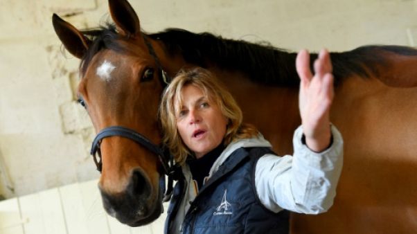 Equitation: à Château Bacon, la vente de chevaux de sport bat son plein Equitation: à Château Bacon, la vente de chevaux de sport bat son plein