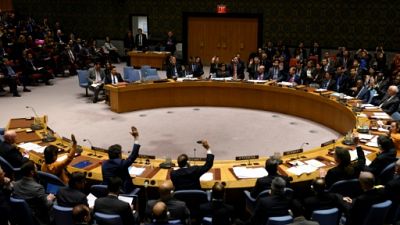Vote au Conseil de sécurité de l'ONU, le 28 février 2019 à New York