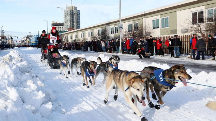 Iditarod sled dog race across Alaska starts with pageant, crowds