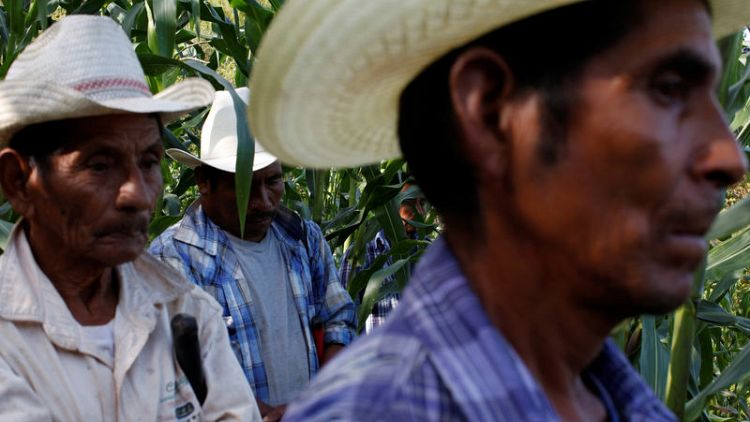 Mexican farmers urge 'mirror' tariffs on Trump's rural base