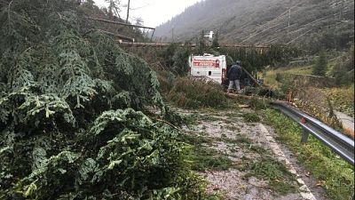 Maltempo: in Trentino 85.600.000 euro Maltempo: in Trentino 85.600.000 euro