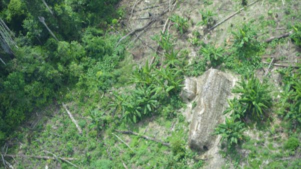 Brazil sends expedition to protect isolated Amazon tribe Brazil sends expedition to protect isolated Amazon tribe