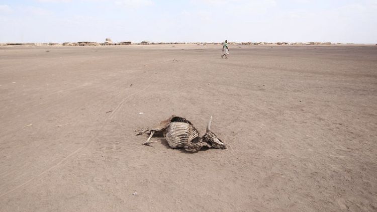 Over 8 million Ethiopians need food aid due to violence, drought -government