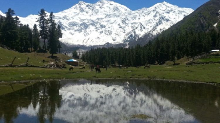 Le Nanga Parbat dans l'Himalaya, neuvième plus haut sommet du monde