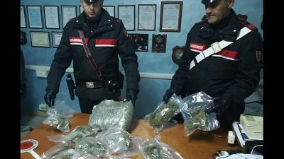 Droga dall'Olanda, 39 arresti Droga dall'Olanda, 39 arresti