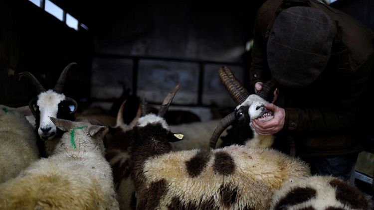 UK no-deal tariffs a 'potential disaster' for Irish farmers