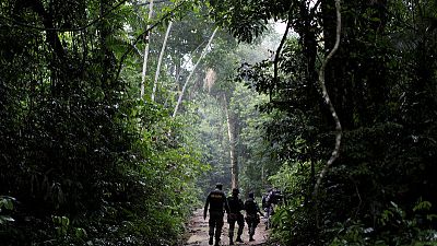 Brazil right-wing government puts gag order on environment agency Brazil right-wing government puts gag order on environment agency