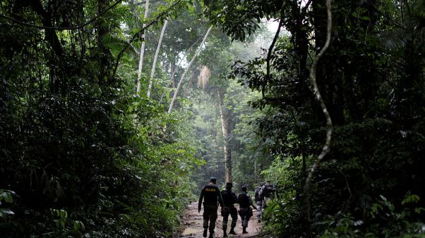 Brazil right-wing government puts gag order on environment agency Brazil right-wing government puts gag order on environment agency