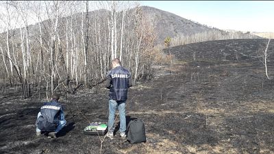Fiamme in Piemonte, forse origine dolosa Fiamme in Piemonte, forse origine dolosa