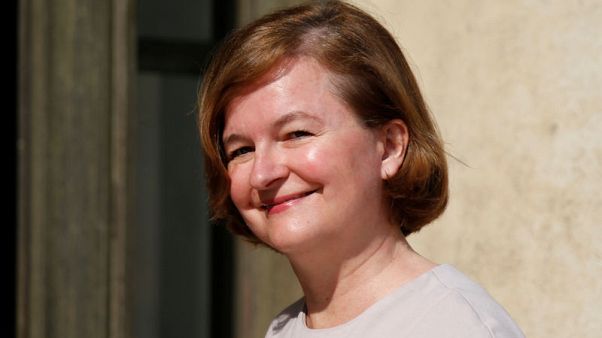 French minister Loiseau wants to lead Macron's EU election campaign French minister Loiseau wants to lead Macron's EU election campaign