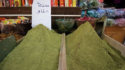 قلة المياه تلحق الضرر بمزارع الحناء في شبه جزيرة الفاو العراقية