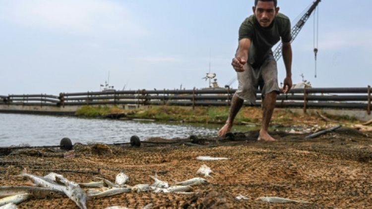 Venezuela: à Maracaibo, la pêche et la chasse pour survivre